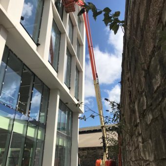 JLG SN 4631 working at height in Cork!