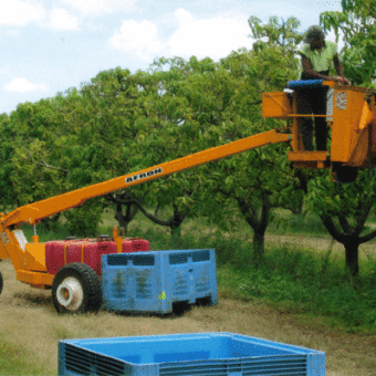 Cherry Picker Fruit Picking